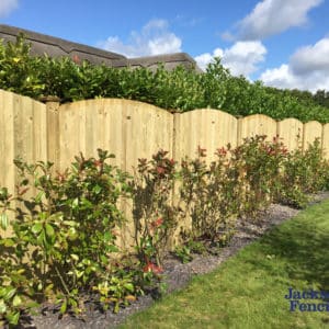 Featherboard Convex Top fence panel