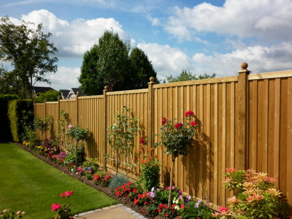 Jacksons Chillham fence Panel