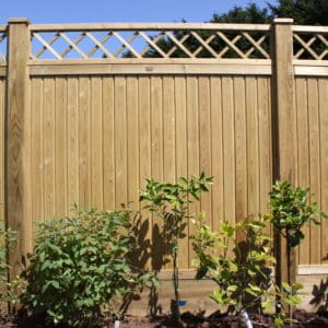Tongue and Groove Fence Panel