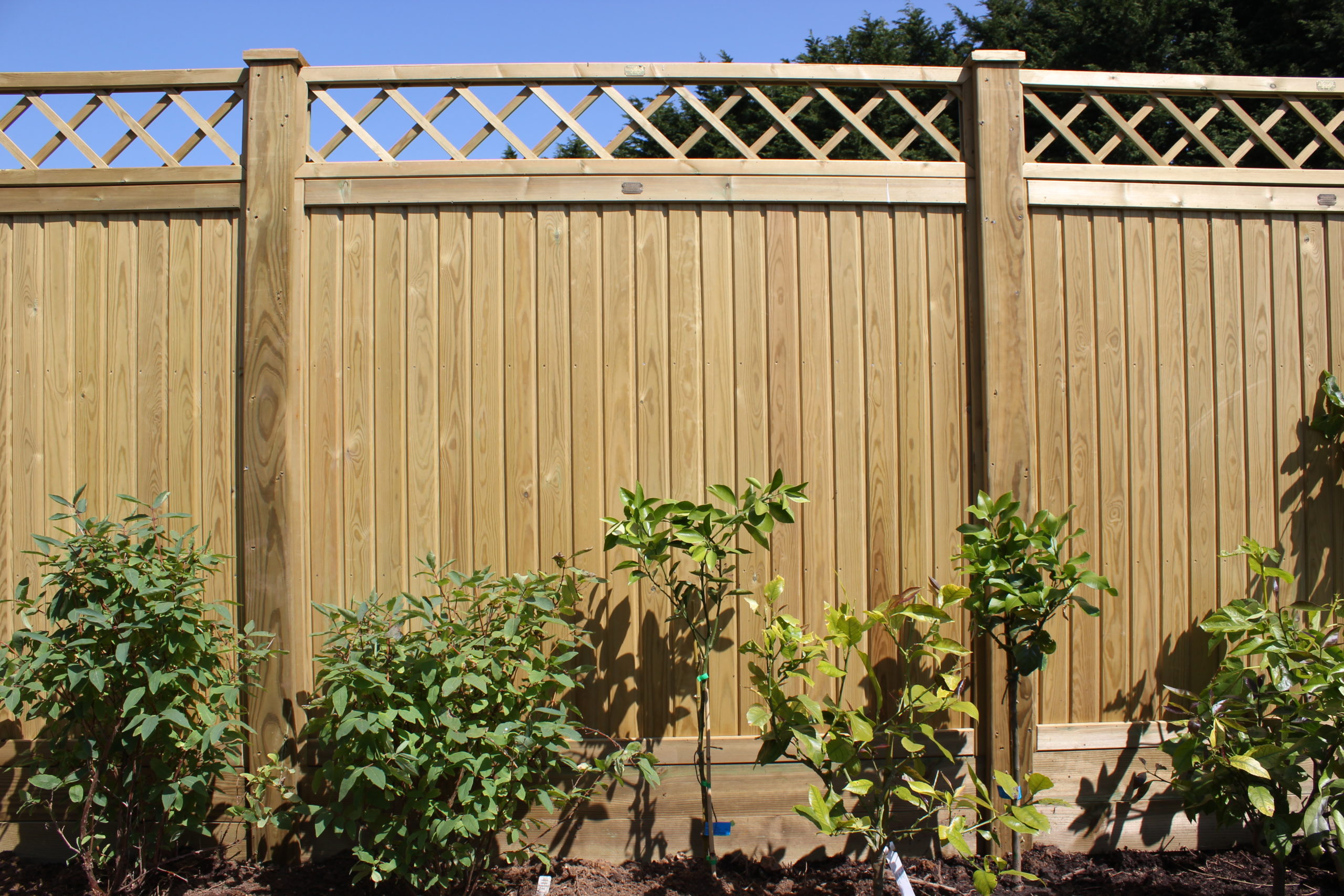 Tongue & Groove Fence Panels